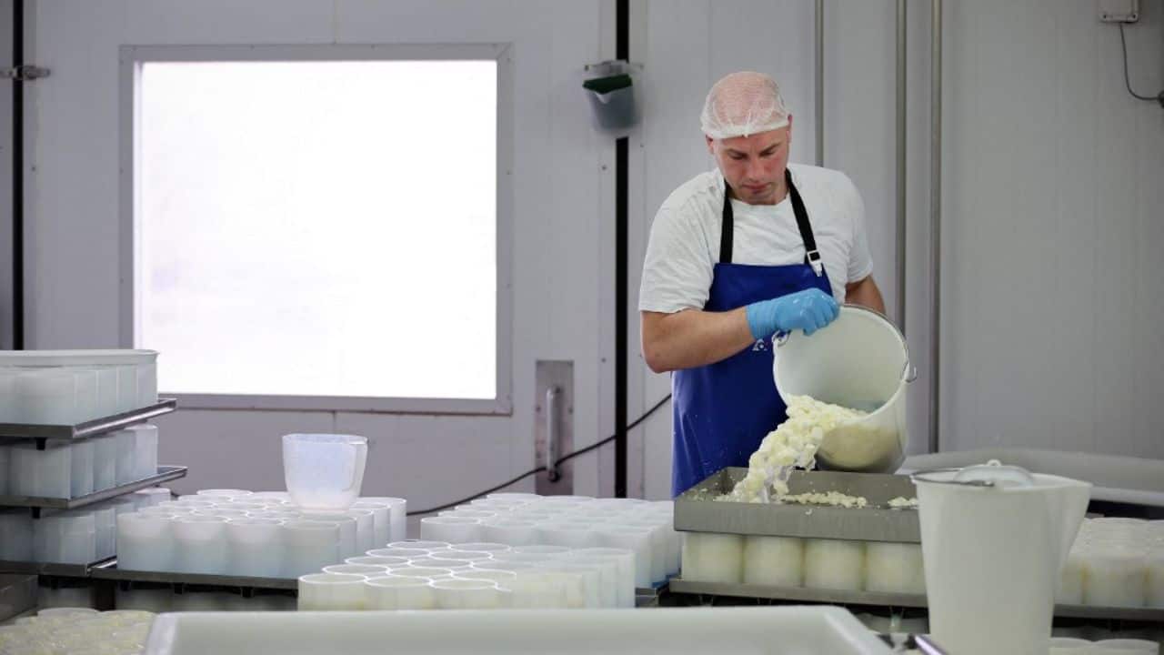 After the board was abolished and the price of milk plummeted, dairy producers were under pressure to add value through other products. (Image: AFP)
