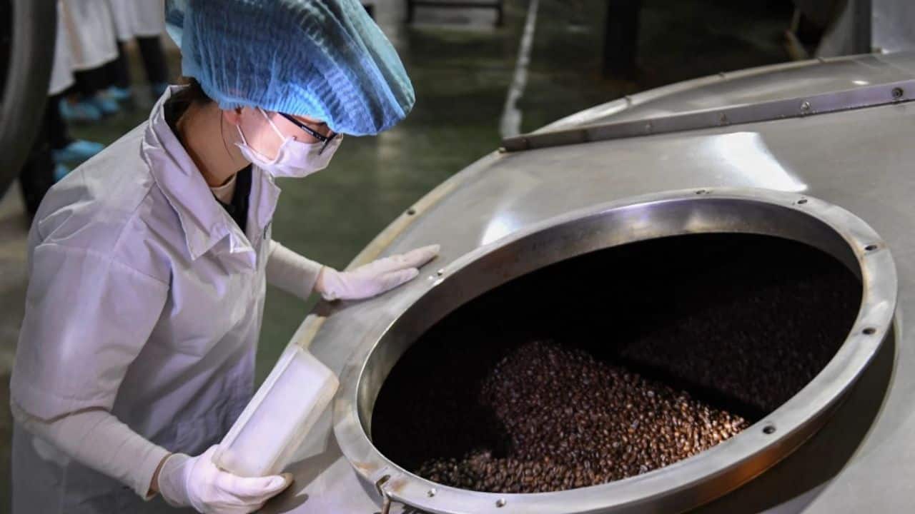 But robusta has advantages over its competitor: the yields are greater, and it can better cope with higher temperatures. Climate change presents a serious concern for the multi-billion-dollar coffee industry, with scientists predicting lower yields and fewer areas suitable for growing. (Source: AFP)