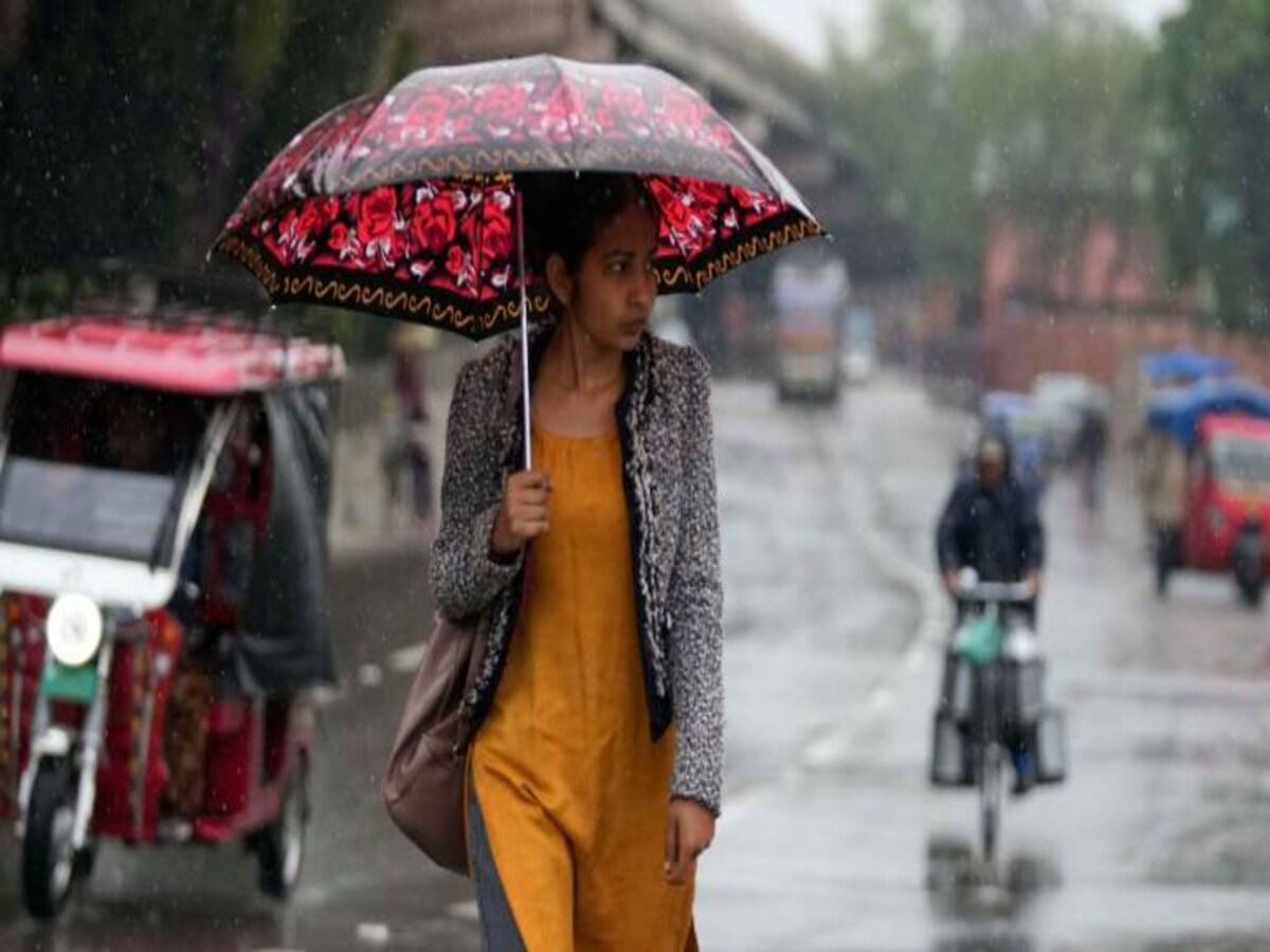 Maharashtra Rains Highlights: All schools and colleges in Palghar district  to be closed on July 28 in view of the heavy rain alert