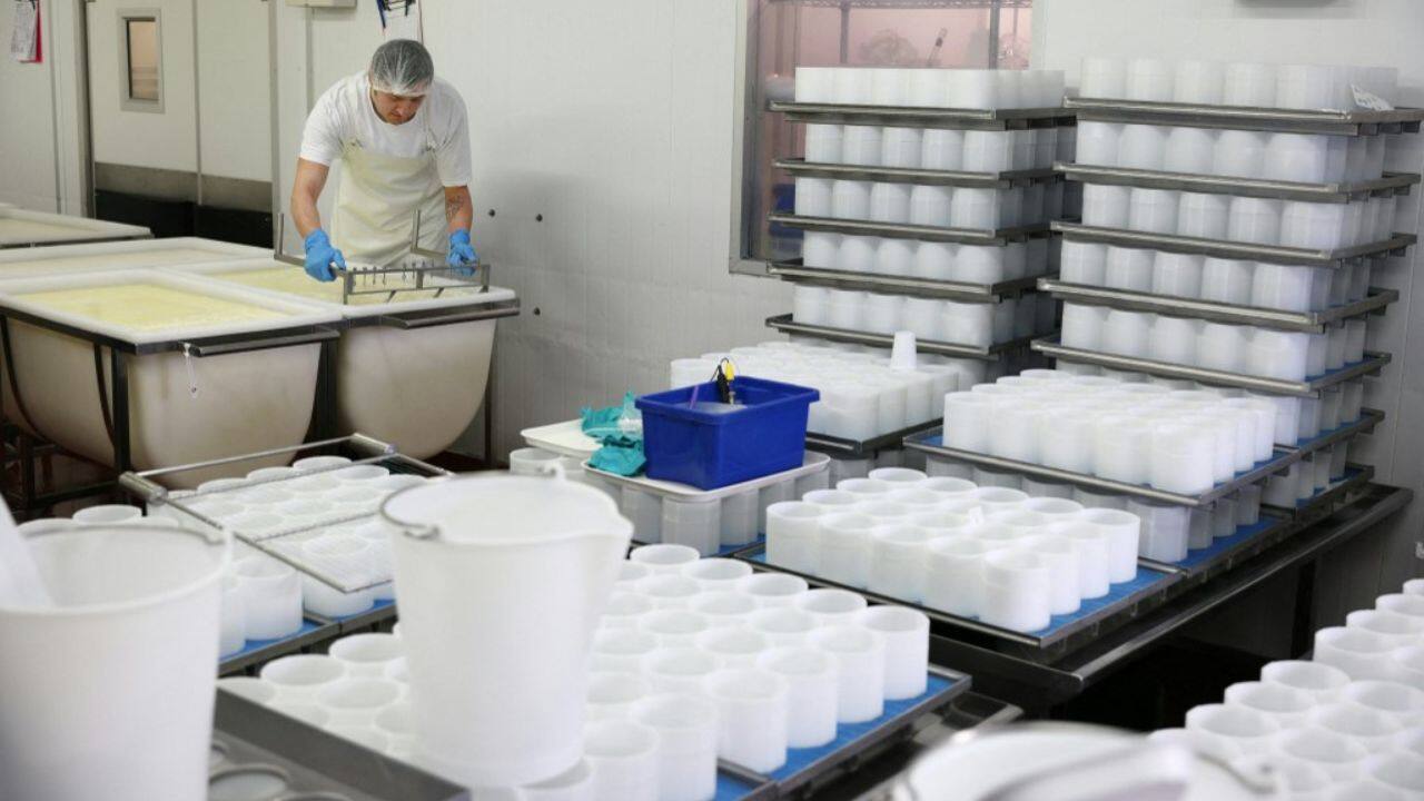 Prior to then, a state marketing board regulated the production and distribution of milk, setting a floor under prices for other dairy products. (Image: AFP)