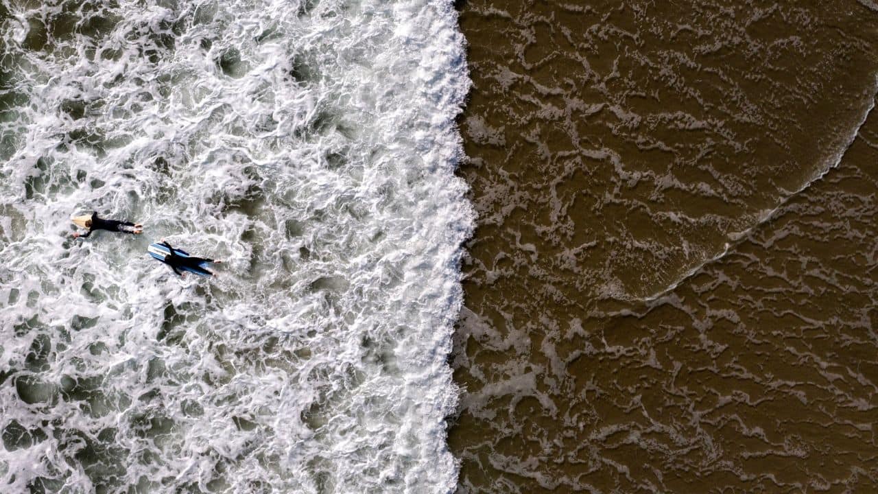 In California, surfers straddle waves in the ocean. (Image: AP)
