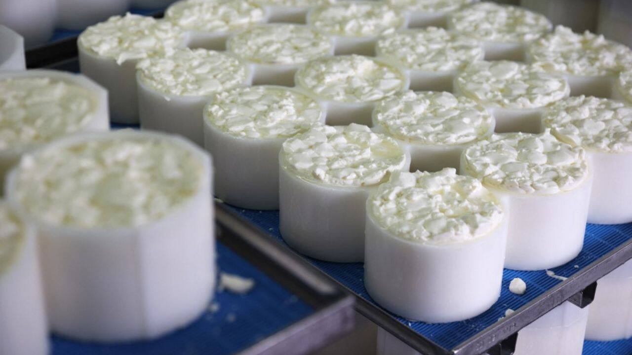 They responded with soft cheeses, which proved a hit with consumers. &quot;The key thing is people want to know where the food they eat is from and support local producers,&quot; said Tracey Colley from the Academy of Cheese, which runs tasting courses and events such as the British Cheese Weekend. The pandemic has also helped, she added. (Image: AFP)