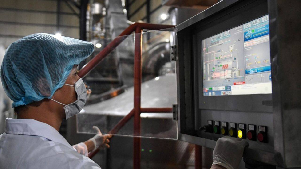 Robusta was first brought to Vietnam by the French in the late 19th century, and in 1991 the country exported its first beans -- 104,000 tonnes. By 2022, that figure had climbed to 1.8 million tonnes -- almost all of it as raw material for instant coffee and other blends -- making it the world's largest robusta producer and the second-largest coffee producer overall, after Brazil. (Source: AFP)