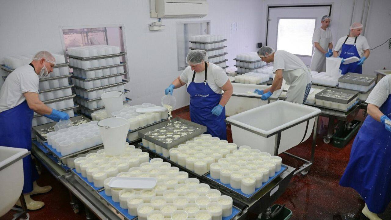 &quot;When people stayed at home, cheese became a treat for some.&quot; But it's still a long way from mass consumption. &quot;Everyone has Cheddar in their fridge,&quot; but other cheeses remain fairly niche, said Colley. &quot;What we're trying to change with the Academy is to get people in the same mindset as in France: eat cheese every day!&quot; (Image: AFP)