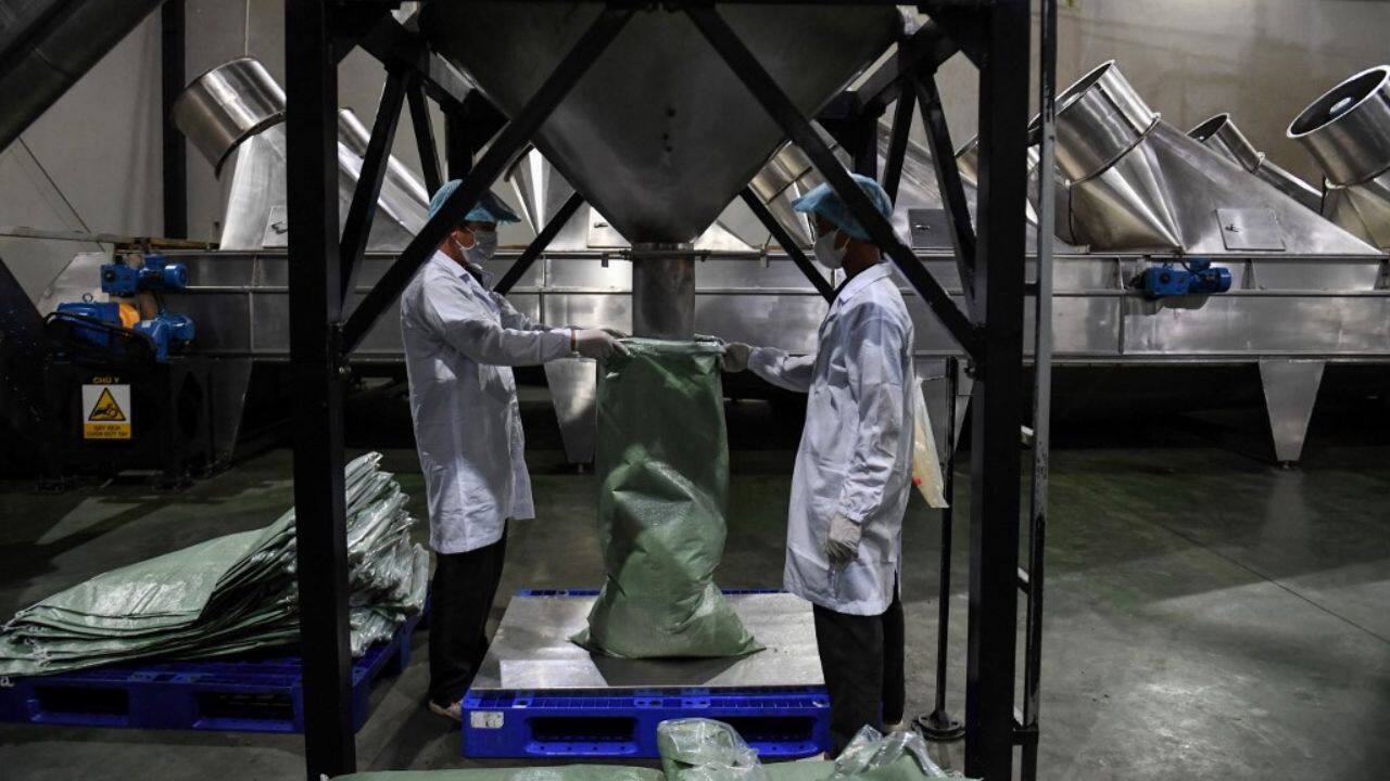 A tumble in arabica supply caused by extreme weather in Brazil already helped Vietnam earn $4 billion in 2022, a 32 percent rise from a year earlier, the government said in a recent report. (Source: AFP)