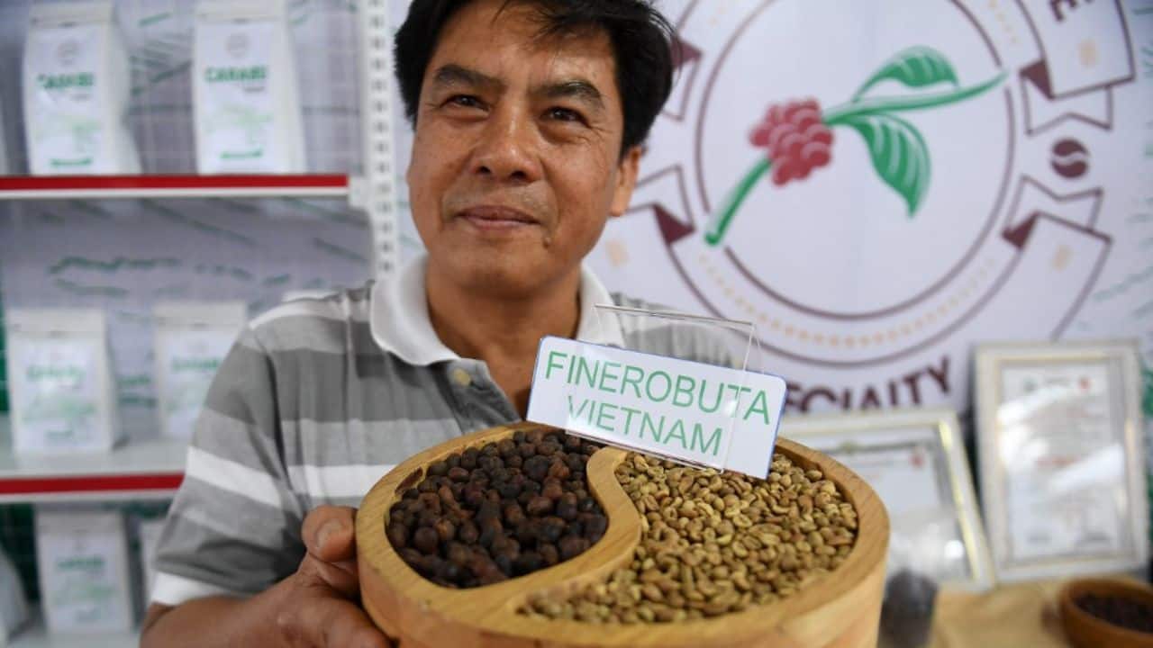At a coffee fair in Buon Ma Thuot city, farmer Hoang Manh Hung tries his best to convince visitors to take sips of his "fruity and elegant" robusta. "I really wish more people would love robusta, as it's truly a 'wow' drink," Hung told AFP. (Source: AFP)