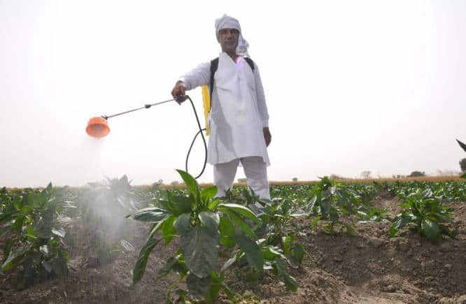 Farm Uneasy | Government's concerted push for eco-friendly nano urea finds few takers in Punjab, Haryana - Vimarsana News