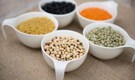 5 science-backed health benefits of plant-based proteins in daily diet