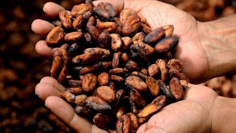 International Cocoa Organisation sees major potential in Indian market - Vimarsana News