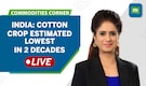 India's cotton output expected to decline | Crop production lowest in two decades | Commodities Live