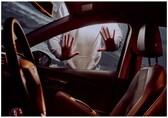 UK man 'addicted to car doors', jailed, banned from touching vehicles for 5 years