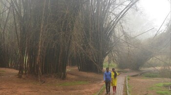 Bengaluru, Cubbon Park
