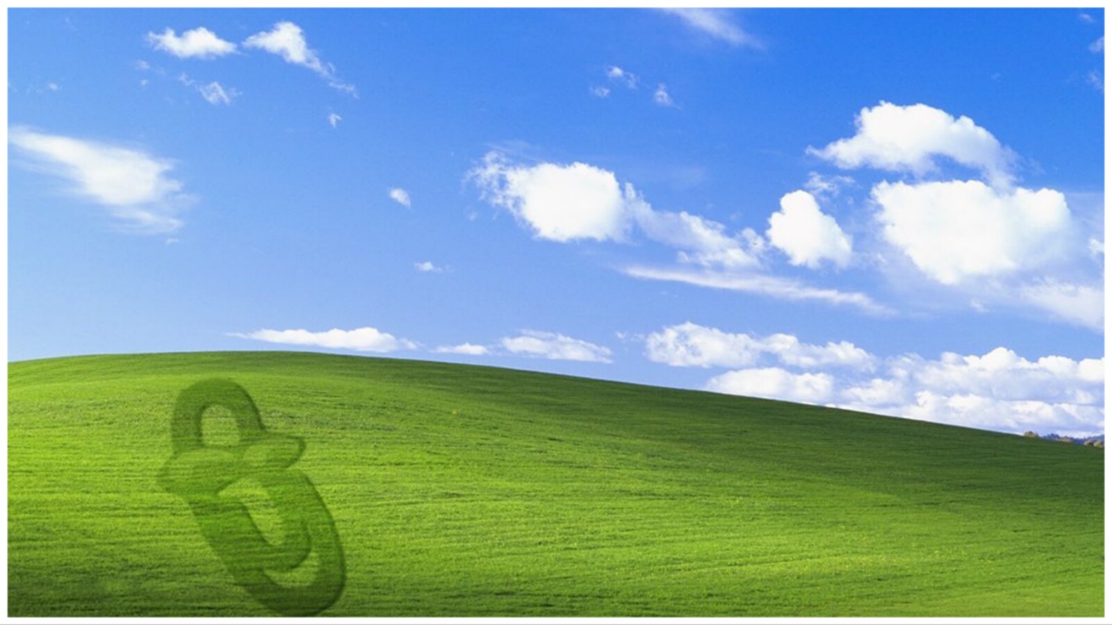 Windows XP's iconic 'Bliss' wallpaper was clicked on a road trip. What  Microsoft paid for it
