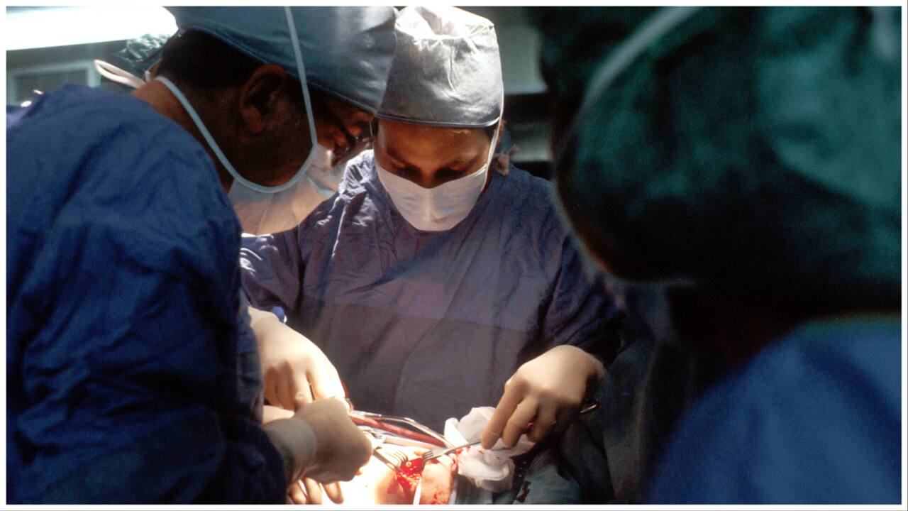 Cancer patient in US dies after surgical robot burns hole in organs, husband sues firm