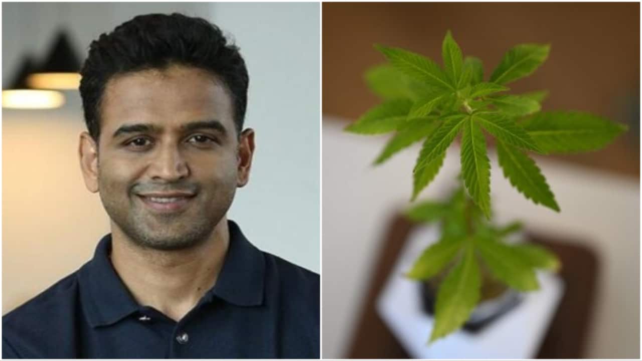 Billionaire Nithin Kamath explains marijuana, hemp difference: 'It doesn't get you high'