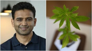 Zerodha CEO Nithin Kamath also shared why he chose to spread awareness about the cannabis family.