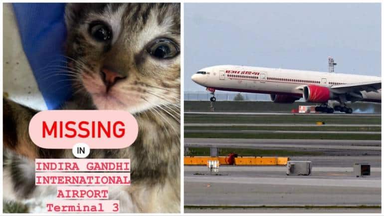 Woman blames Air India for losing her kitten at Delhi Airport, alleges airline not helping with search - Vimarsana News