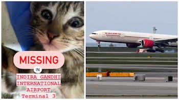 The photo of Phoenix being circulated on social media. (Image: @sonyssomar/Twitter)