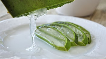 Health benefits of aloe vera: To make a refreshing aloe vera face mask, simply extract the gel from a fresh aloe vera leaf and apply it evenly to your cleansed face