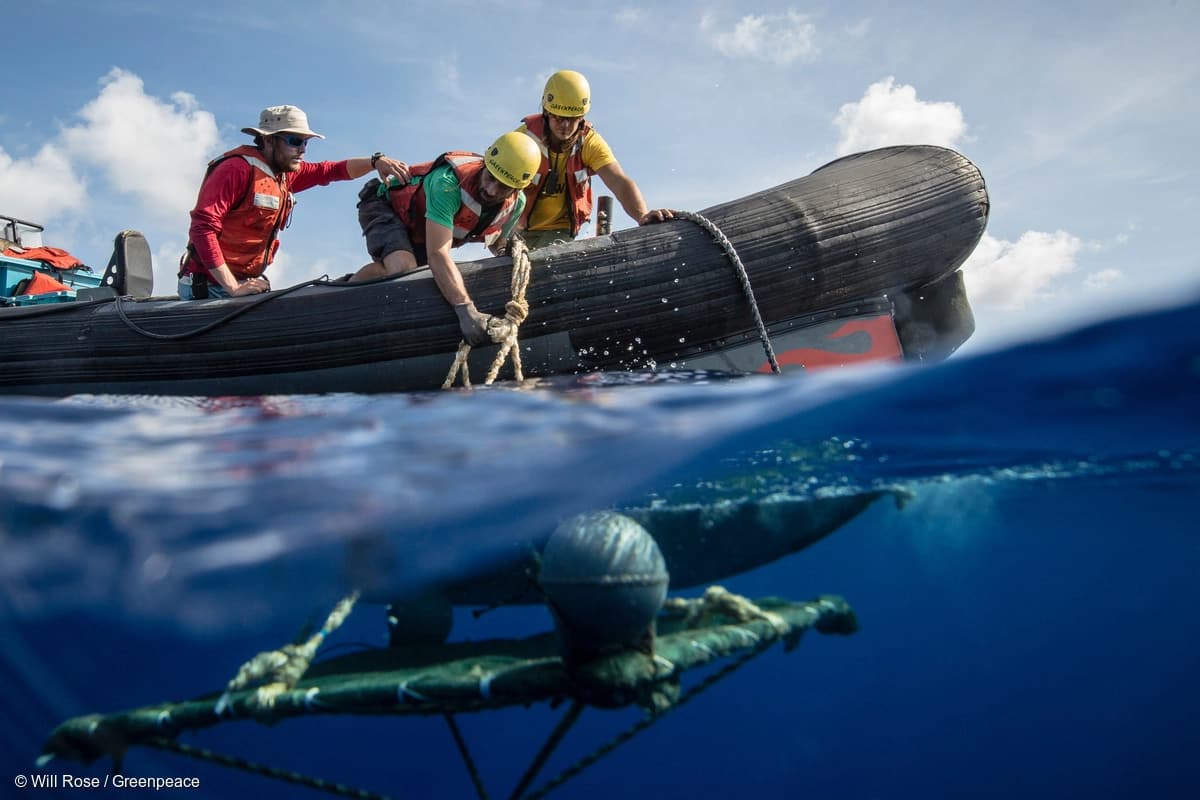 A FAD in the Indian Ocean. Photo from Greenpeace.