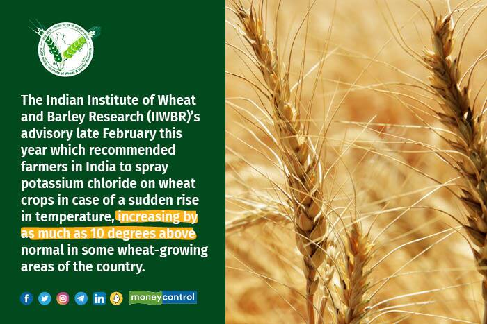 Advisory issued due to sudden rise in temperature