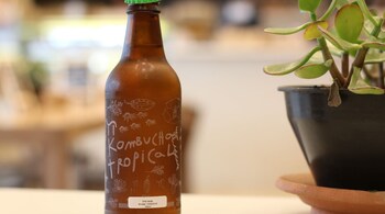Everything you need to know about kombucha, the refreshing drink