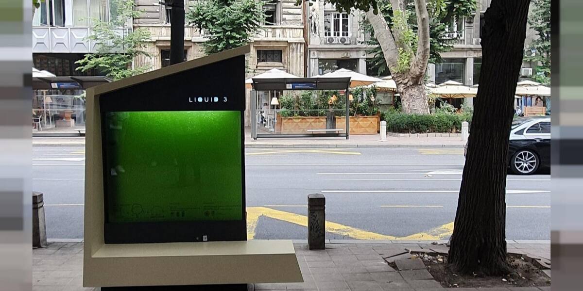 Liquid Tree takes root