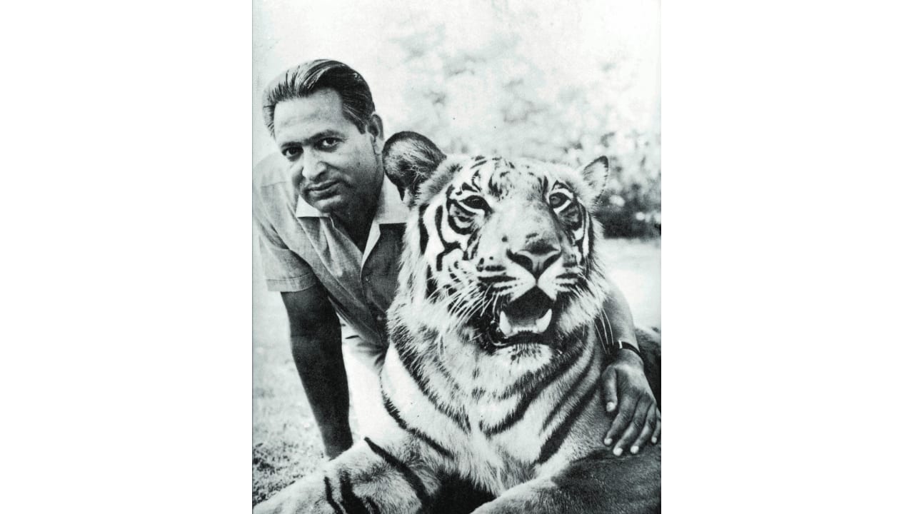 50 years of Project Tiger | Remembering Kailash Sankhala, first director of Project Tiger