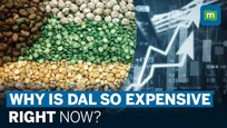 Why Prices Of Pulses Like Urad & Tur Are Soaring | Crackdown Against 'Hoarding'