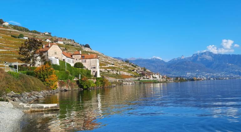 View of Switzerland's Lavaux vineyards from near Lake Geneva. (Photo: Anita Rao Kashi)