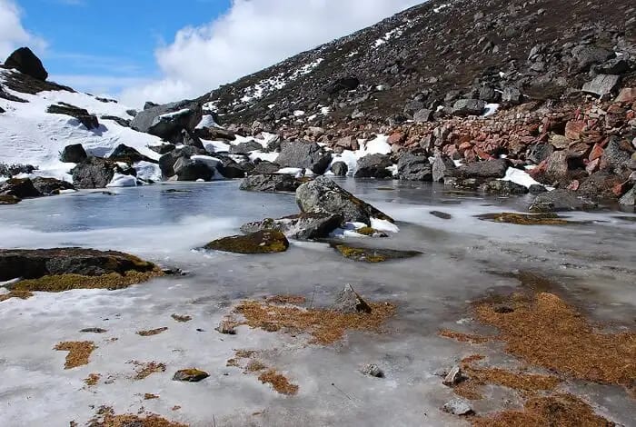 The sulphur-rich water might have a distinct sharp smell but the waters in Sikkim's Yumthang Valley hot springs are known to relax and rejuvenate the body.
