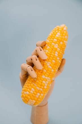 Using algorithms, AI can identify food industry trends and anticipate growth. (Photo: Charles Deluvio via Unsplash)