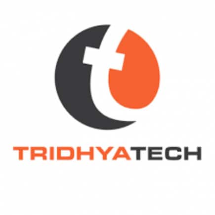 Tridhya Tech files DRHP with SEBI for Rs 35 crore IPO - Vimarsana News