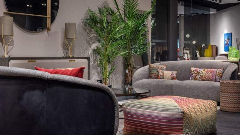 Palm tree is best indoor plant