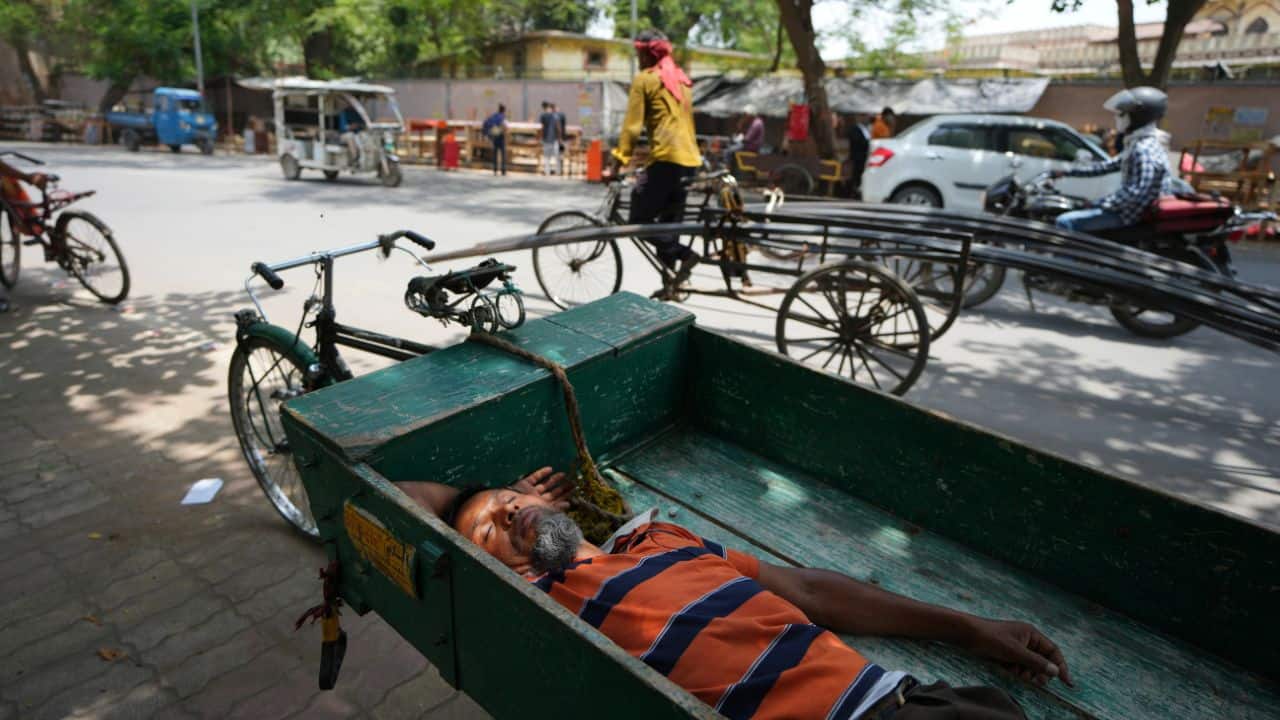 Heat experts advised the resident to stay hydrated to battle the blazing heatwave. A heatwave is a period of abnormally high temperatures, more than the normal maximum temperature that occurs during the summer season in the North-Western parts of India. (Image: AP)