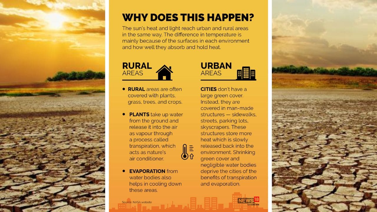 The sun’s heat and light reach urban and rural areas in the same way. The difference in temperature is mainly because of the surfaces in each environment and how well they absorb and hold heat. (Image: News18 Creative)