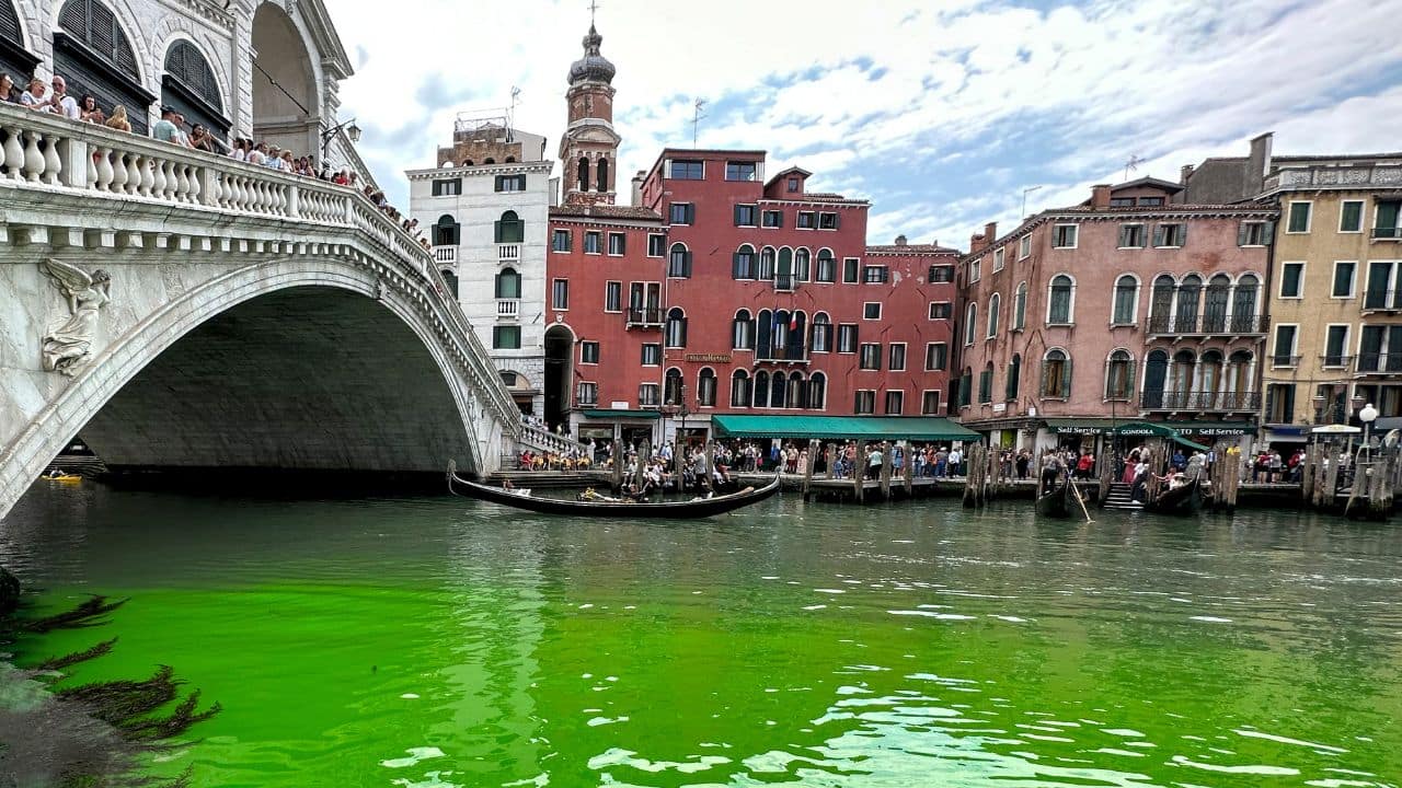 Venice's Grand Canal turns phosphorescent green: See Pics