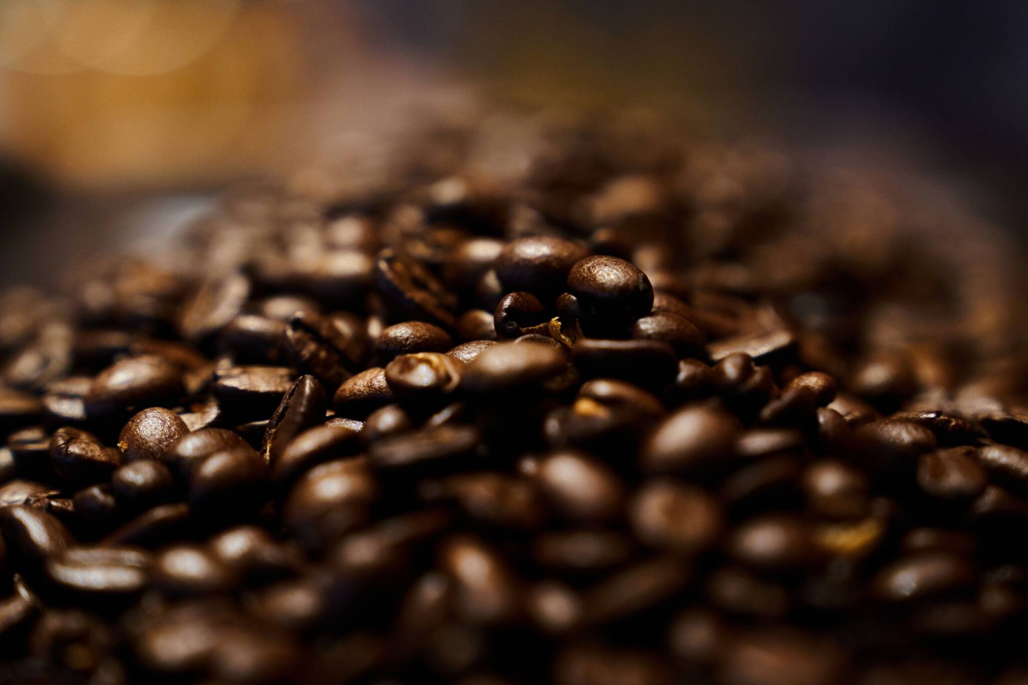 Bean shortage drives up cost of even the cheapest cup of coffee