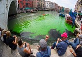 Venice's Grand Canal turns phosphorescent green: See Pics