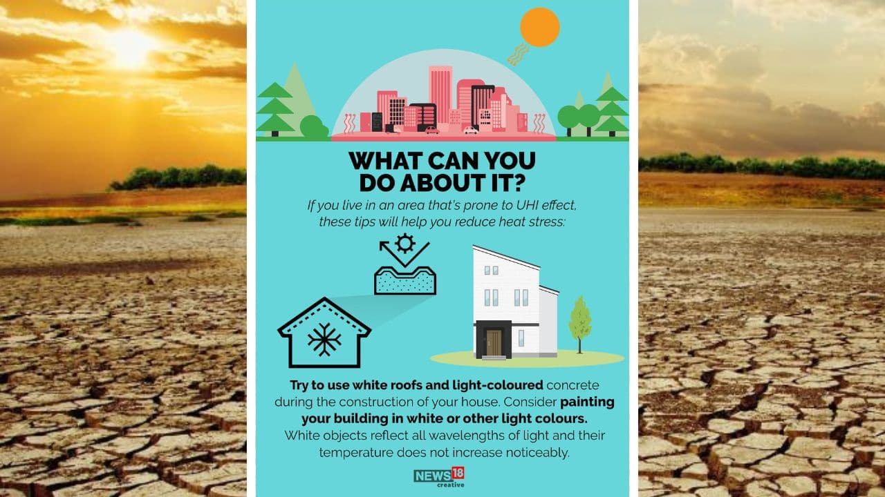 To reduce heat stress, try to use white roofs and light-coloured concrete during the construction of your house. Consider painting your building in white or other light colours. White objects reflect all wavelengths of light and their temperature does not increase noticeably. (Image: News18 Creative)