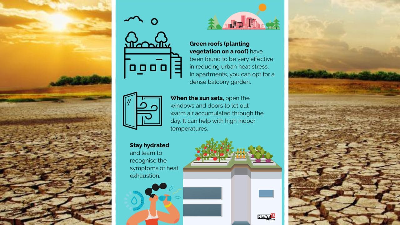 When the sun sets, open the windows and doors to let out warm air accumulated through the day. It can help with high indoor temperatures. (Image: News18 Creative)