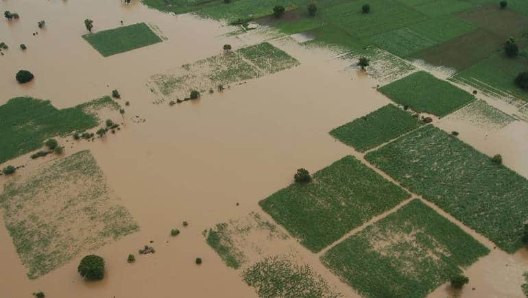 How climate change is impacting food budget in Indian homes - Vimarsana News