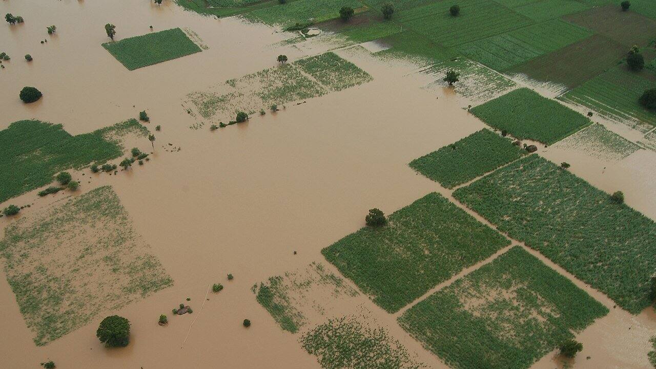 How climate change is changing the food we eat in India: prices, nutrition, taste, seasonality How climate change is changing the food we eat in India: prices, nutrition, taste, seasonality