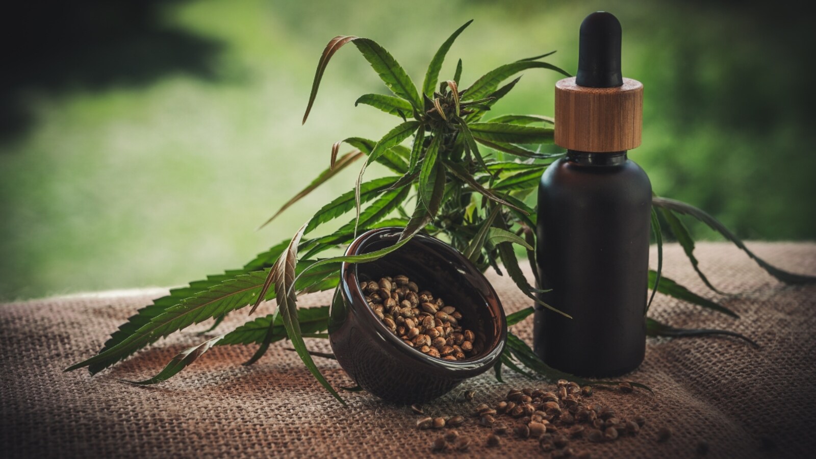 Unveiling the Soaring Popularity of CBD Products