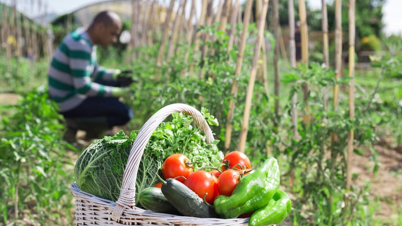 Exercise at home: Turn your gardening hobby into the best exercise to lose weight