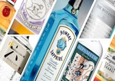 From Sipsmith to Hendrick’s, Monkey 47, Bombay Sapphire and more, the best gins for your bar at home