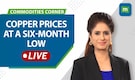 Commodities Live: Copper prices at a six-month low | Silver prices declined by 8% in May
