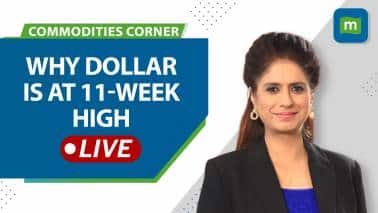 Dollar At Seven-Week High | US Economic Data Reflects Strength | Commodities Live