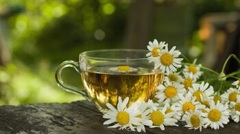 Chamomile Tea recipe