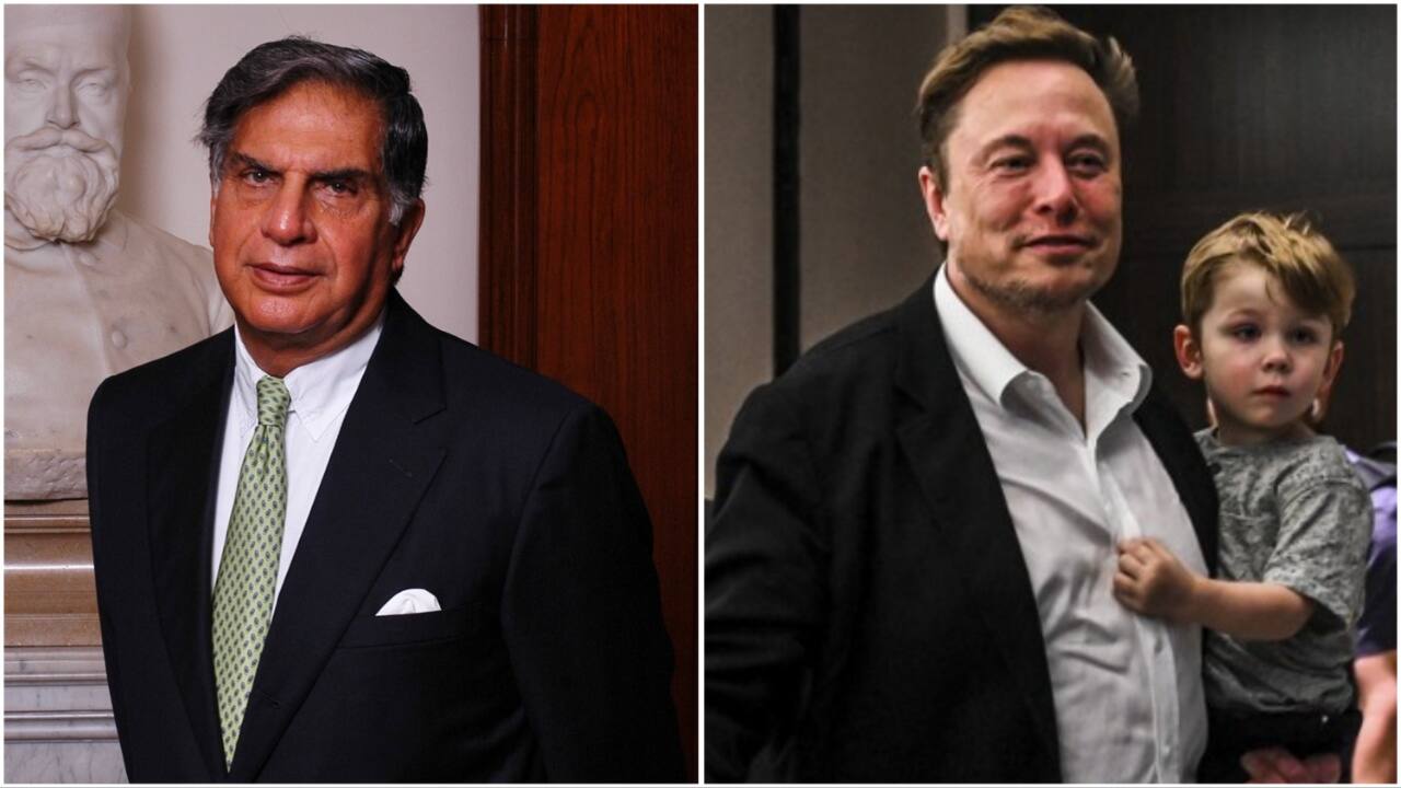 'Ratan Tata's digital reputation...': Ex Twitter India tags Elon Musk on blue tick policy
